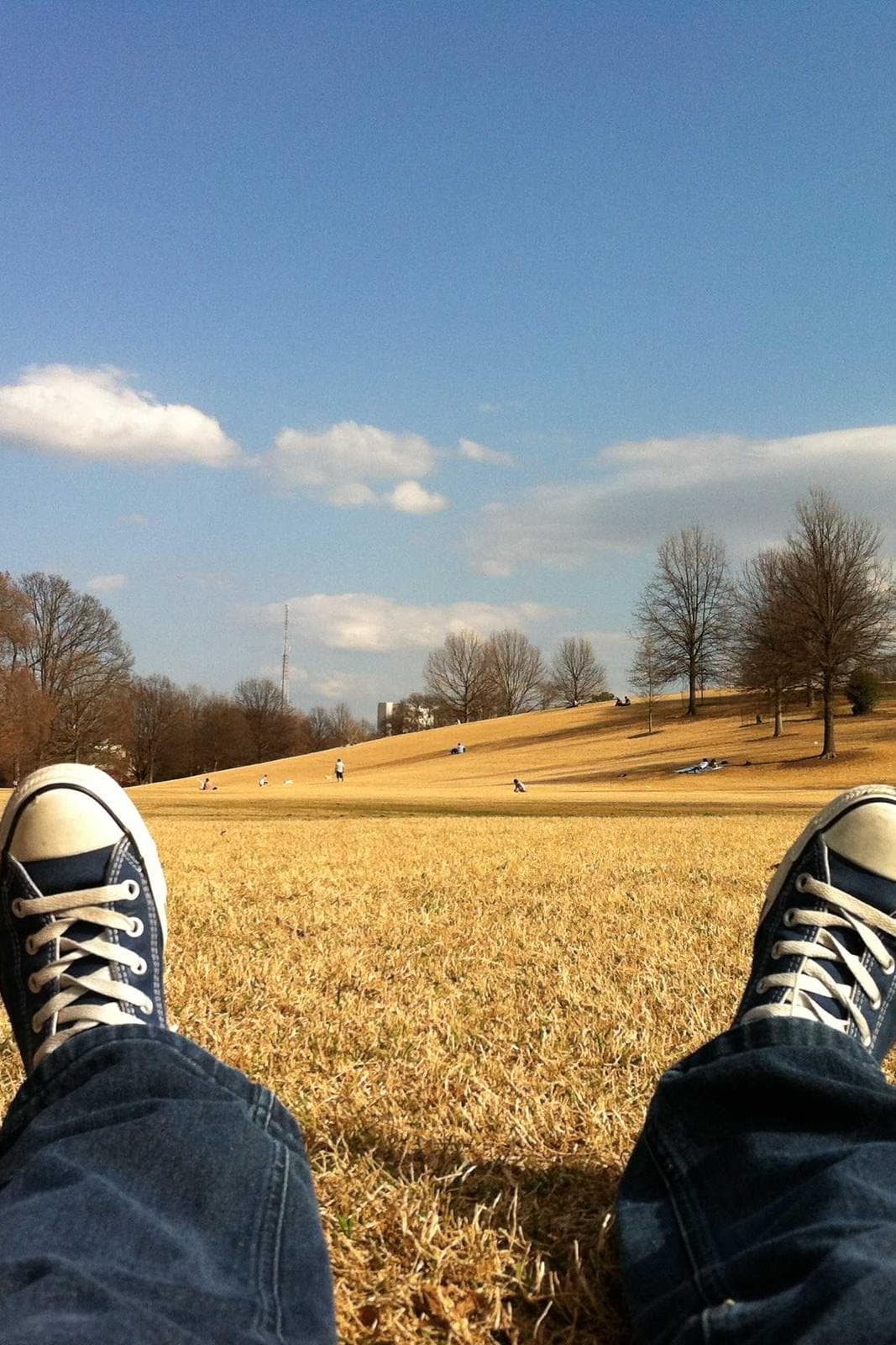 Kitchen with exposed concrete ceiling and walnut cabinetry